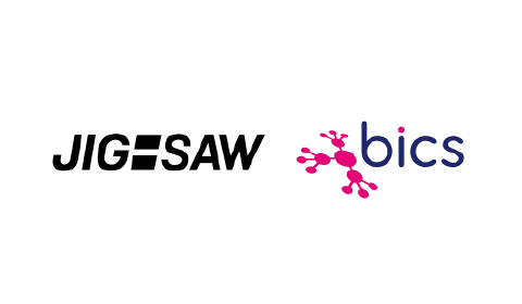 JIG-SAW and Bics