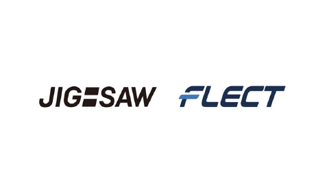 JIG-SAW and Flect